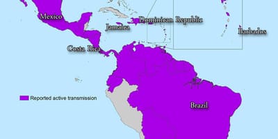 نقشه از جامائیکا zika